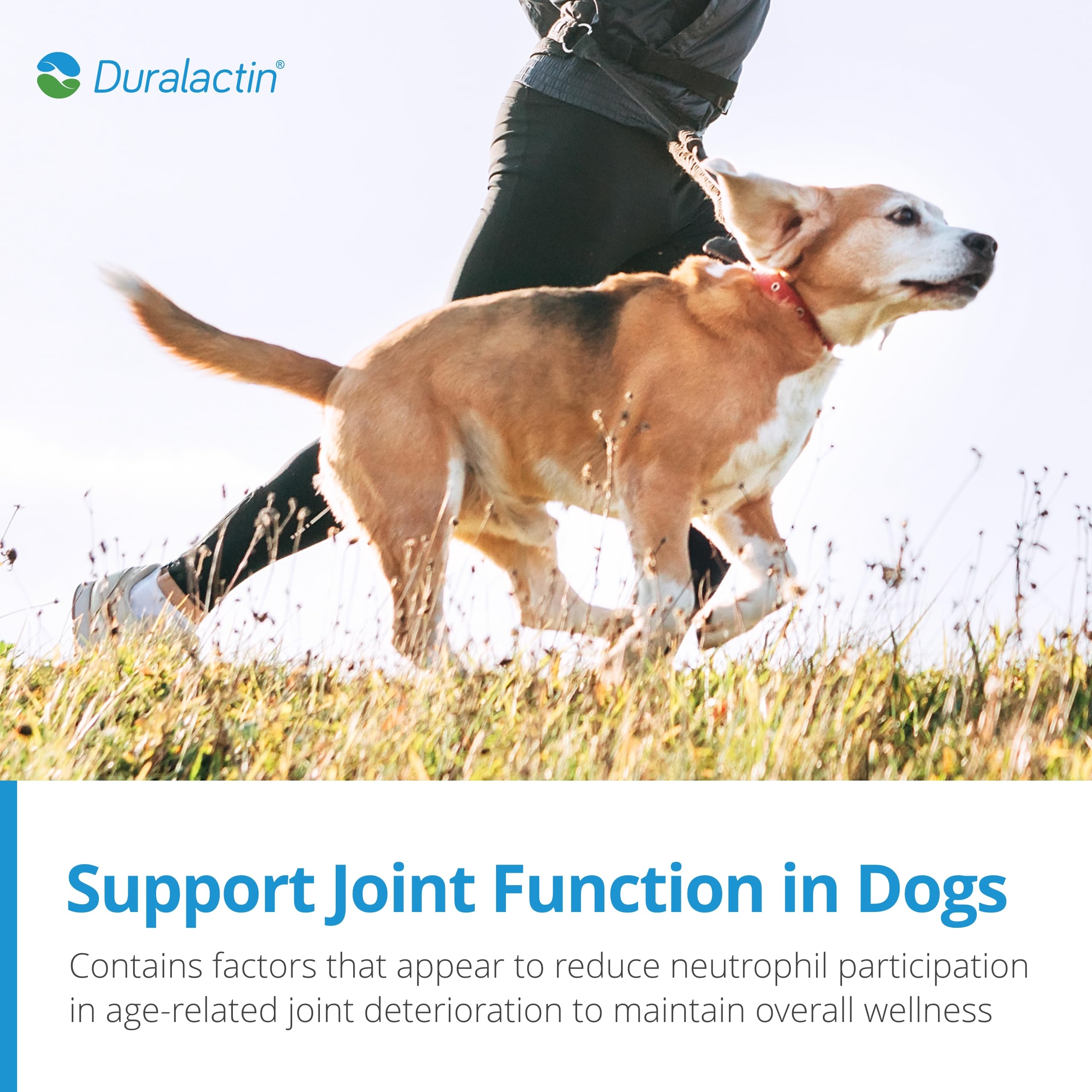 PRN Pharmacal Duralactin Canine Soft Chews - Joint Health Supplement for Dogs & Puppies to Help Reduce Chronic Soreness - Canine Chews Containing Dried Milk Protein - Chicken-Liver Flavor - 90 Chews