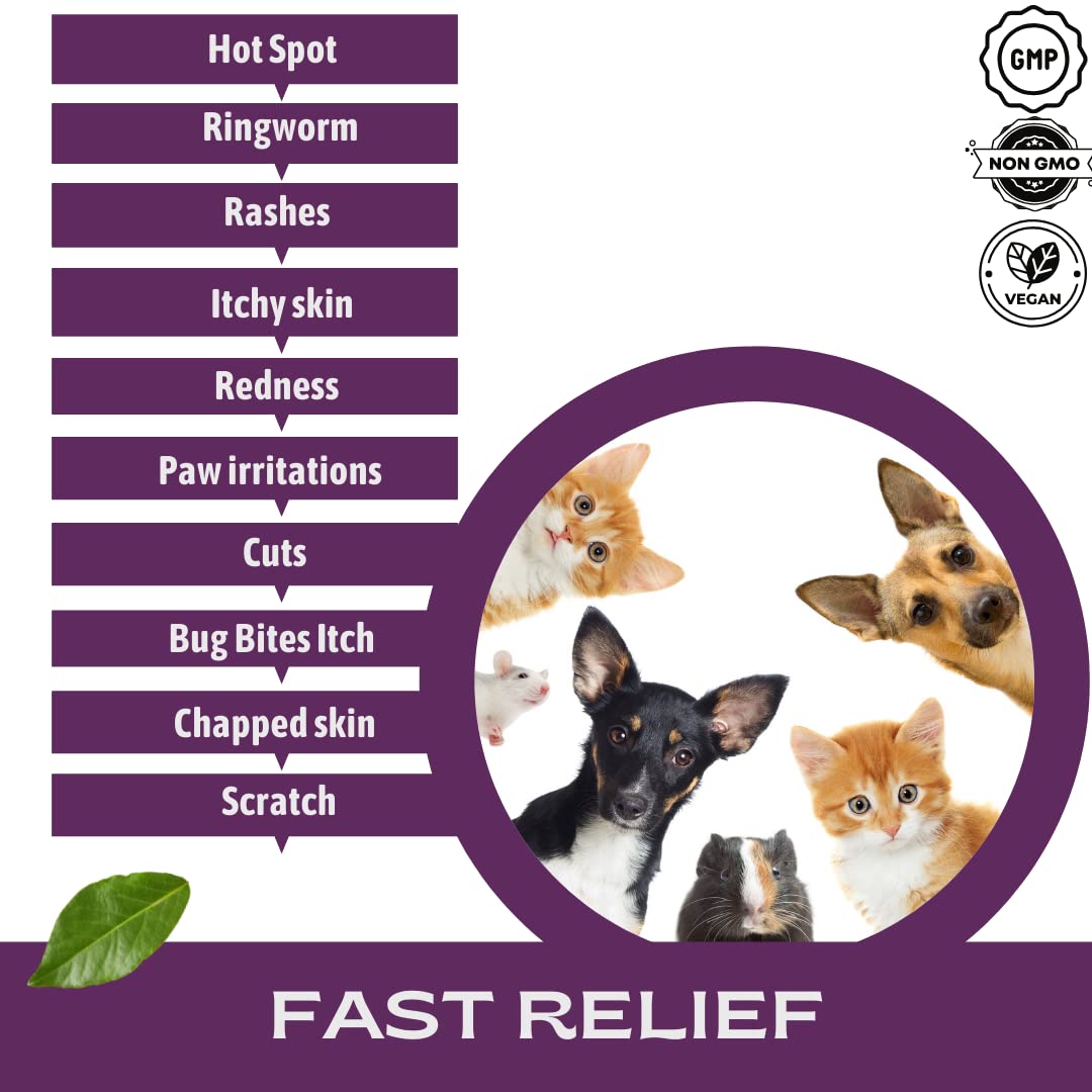 Reboot Colloidal Silver Skin Care Spray, Natural Relief for Dogs, Cats & Horses - Soothes Pet Wounds, Itches, Allergies, Non-Sting, Deodorizes, Safe for All Ages (33.8oz)