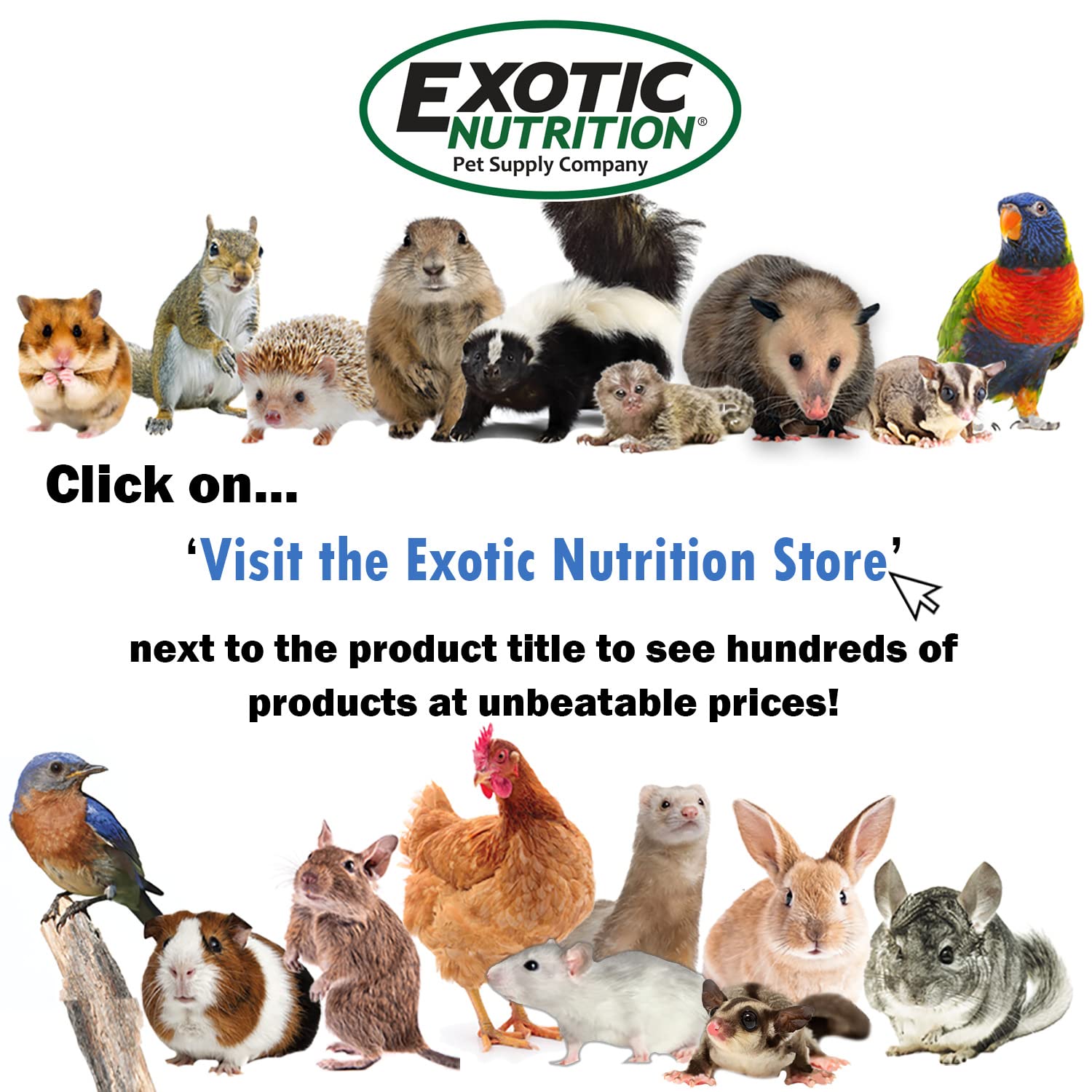 Exotic Nutrition Pumice Chew Block - Natural Volcanic Pumice Chew for Small Pets