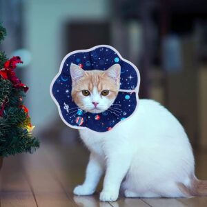 Johoxton Cat Cone, Cat Recovery Collar After Surgery Cat Cone Collar Cat Cones to Stop Licking Cat Donut Collar E Collar for Cats Puppy Dog (M, Fiber Blue)