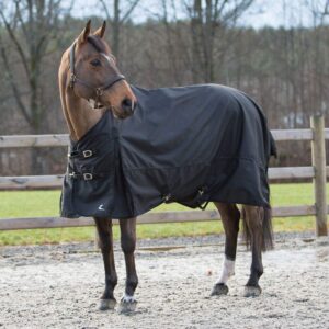 HORZE Nevada 1200D Lightweight Waterproof Horse Turnout Rain Sheet (No Fill) - Black - 81 in