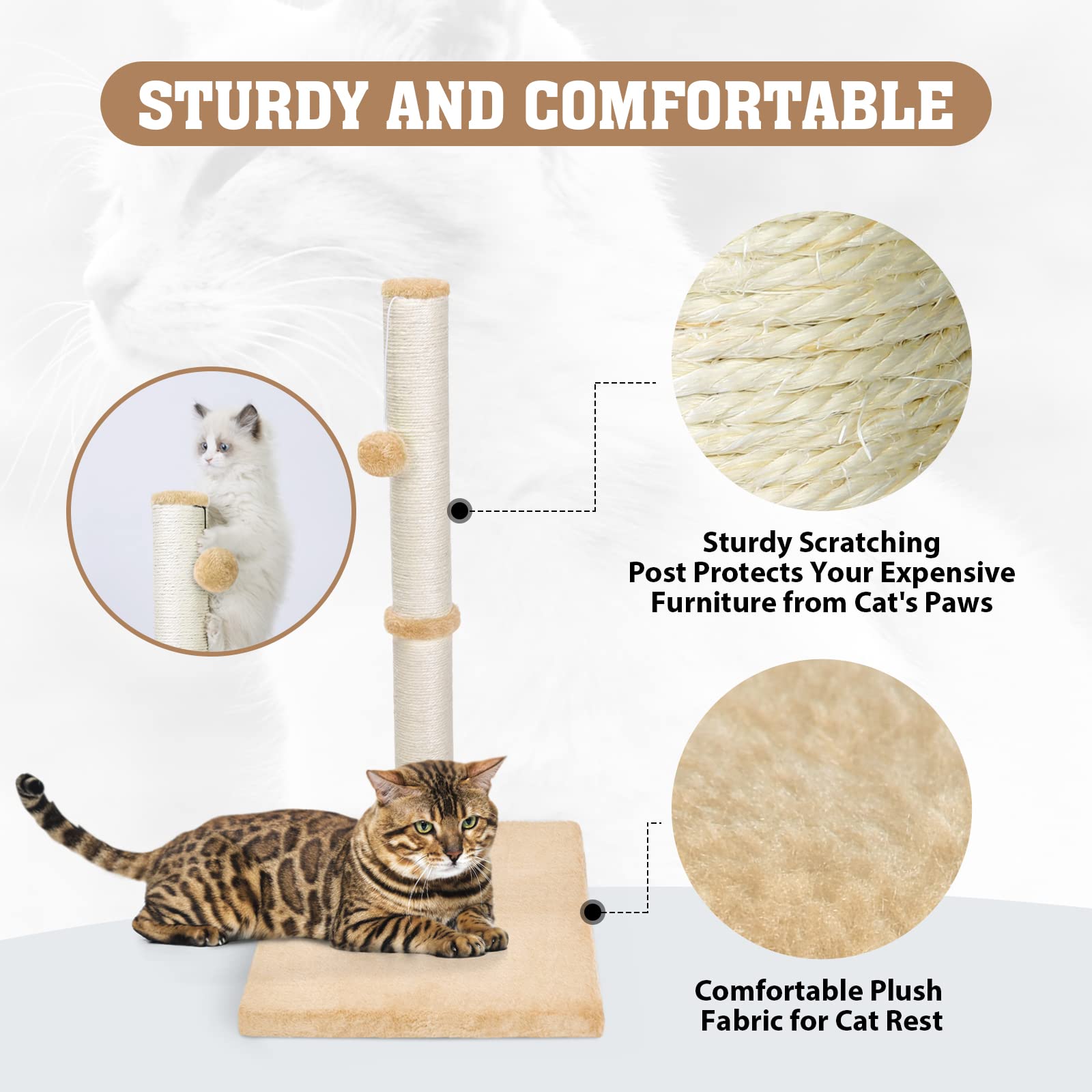 petellow 31'' Tall Cat Scratching Post - Cat Claw Scratcher with Hanging Ball - Scratching Posts for Indoor Large Cats - Durable Stable Cat Furniture with Sisal Rope - Cat Scratch Post - Beige