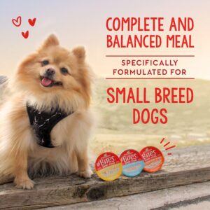 Stella & Chewy's Lil Bites Savory Stews for Small Breeds Beef & Chicken Dinner in Broth, 2.7 oz. Cups (Pack of 12)