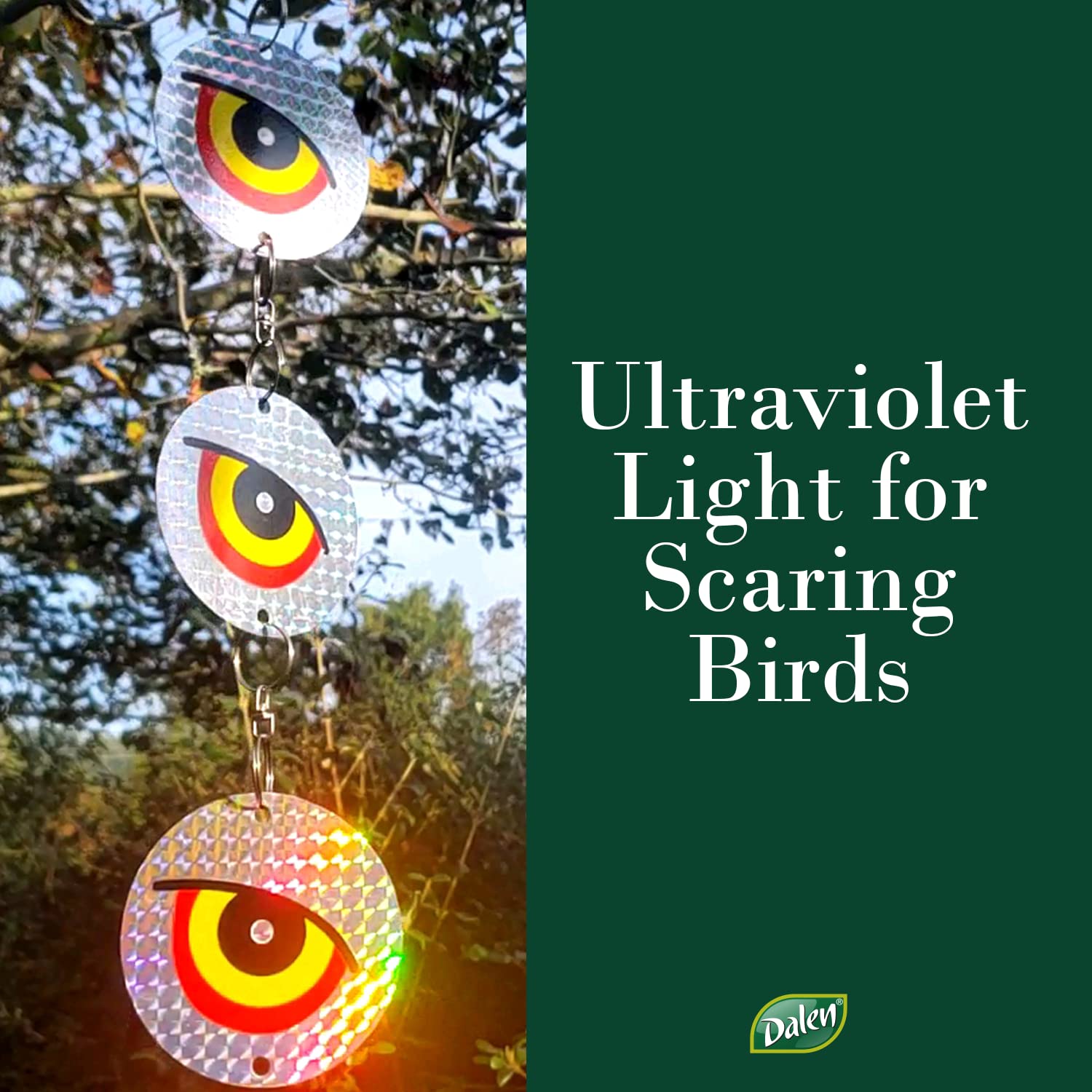 Dalen Guard'n Eyes Full Spectrum Reflective Hanging Disks - Reflects Ultraviolet Light for Scaring Birds - 4 Pack