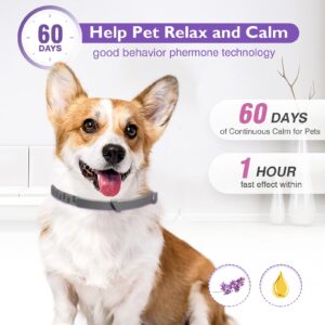 Dogs Calming Pheromones Collar 3 Packs Lasts 60 Days Relieve Reduce Anxiety or Stress 25 Inches Adjustable Relaxing Comfortable Collar Breakaway Design for All Small Medium and Large Dog