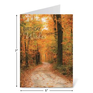 Current Scenic & Graphic Birthday Greeting Cards Value Pack - Set of 20, 10 Unique Designs, Large 5 x 7 Inch Cards, Sentiments Inside, Envelopes Included