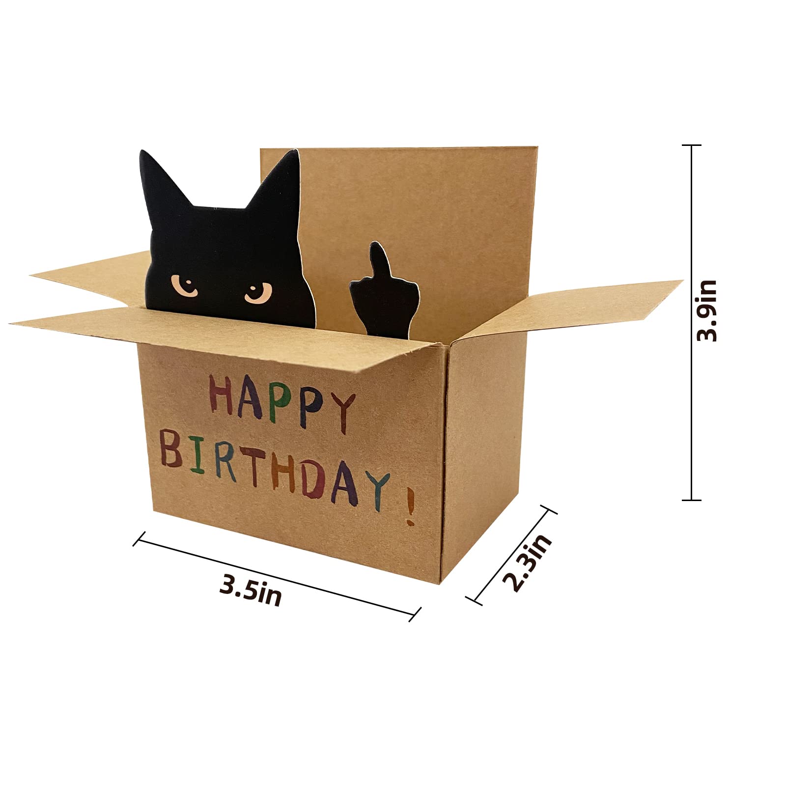 AMINORD Birthday Card - Cat Birthday Card for Men Women - Funny Happy birthday Card for Friends