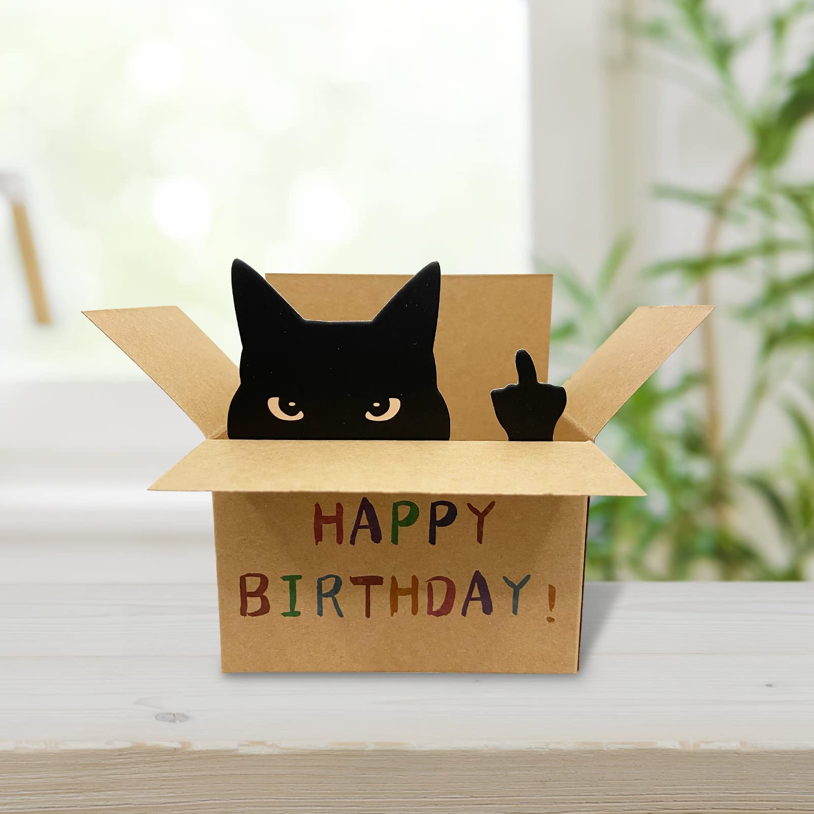 AMINORD Birthday Card - Cat Birthday Card for Men Women - Funny Happy birthday Card for Friends