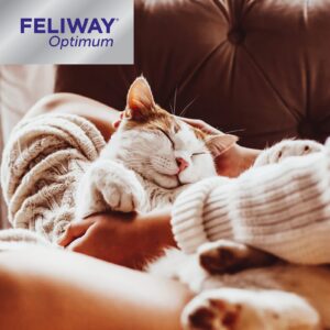 FELIWAY Optimum 30 Day Diffuser Refill - Calms Cats Better Than Ever - Helps with More Signs of Cat Stress, in More Situations (Refill D921 - use with FELIWAY OPTIMUM Cat Pheromone Diffuser)