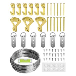 heavy duty picture hanging kit, wall hanging kit support 10-100lbs with picture hanging wire, d-ring, screws, hanging hooks,level. 40 feet (12m) picture hanging wire hangers