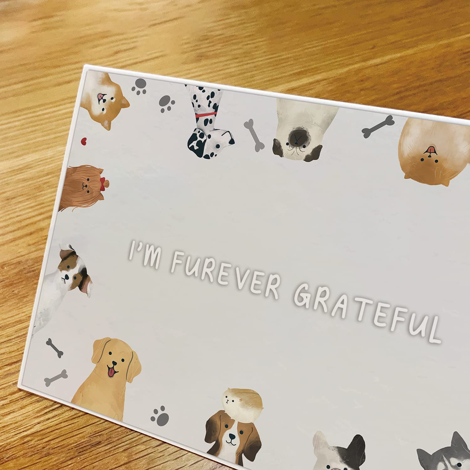 48 Dog Thank You Card Set, Dog Pun Note Cards Pack with Envelopes, Puppy Greeting Notecards Bulk, Cute Boxed Assortment Quip Cards for Gratitude, Recognition, Appreciation, 4 x 6 in