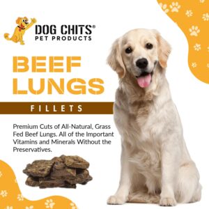 Dog Chits Beef Lung Fillets Dog and Puppy Treats - New! - All Natural Grain and Chemical Free Training Chews - High Protein and Low Fat - Supports Dental Health - Made in The USA - Large 10 oz Bag