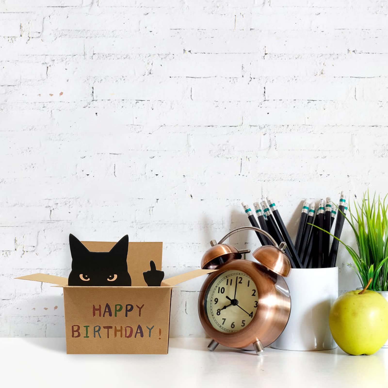 AMINORD Birthday Card - Cat Birthday Card for Men Women - Funny Happy birthday Card for Friends