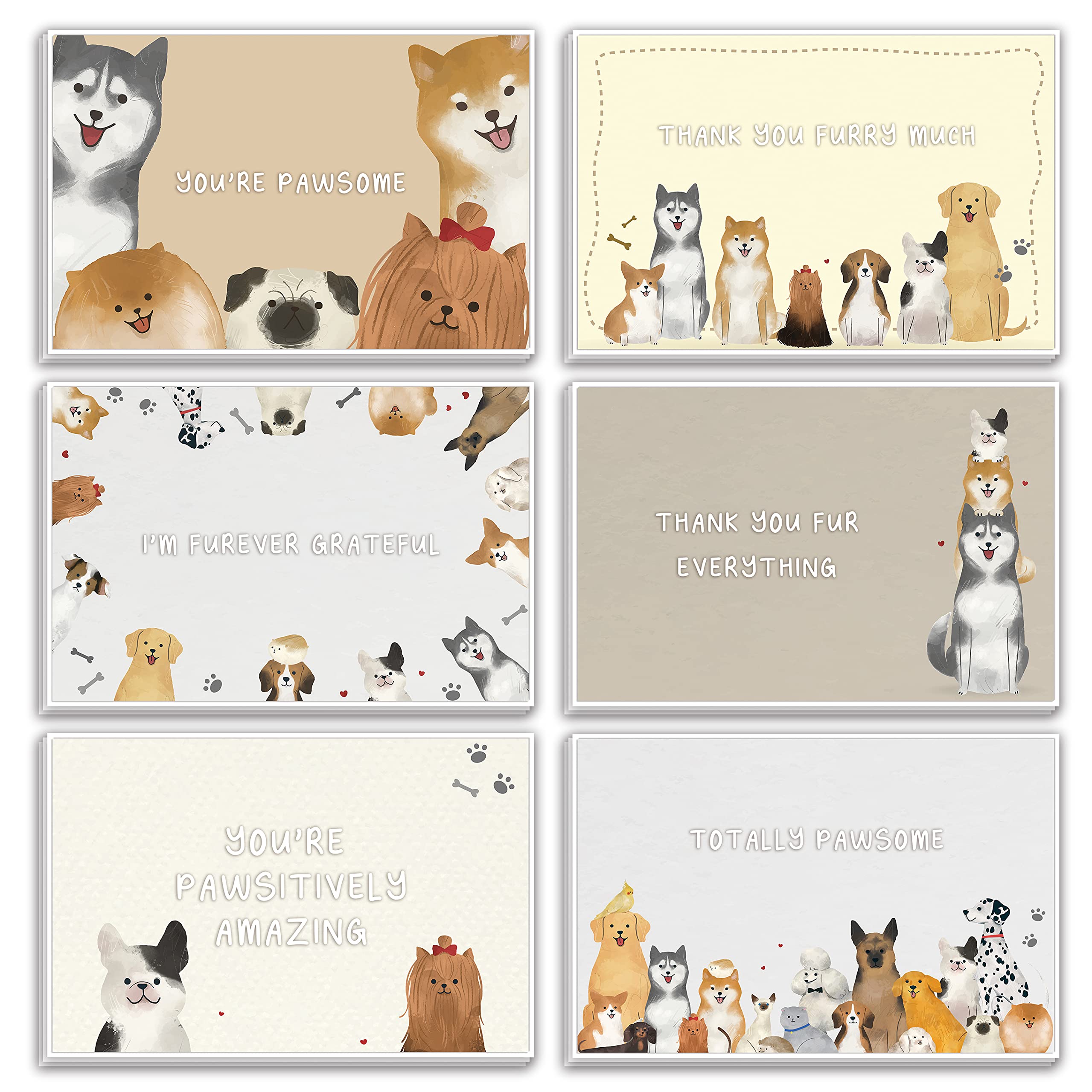 48 Dog Thank You Card Set, Dog Pun Note Cards Pack with Envelopes, Puppy Greeting Notecards Bulk, Cute Boxed Assortment Quip Cards for Gratitude, Recognition, Appreciation, 4 x 6 in