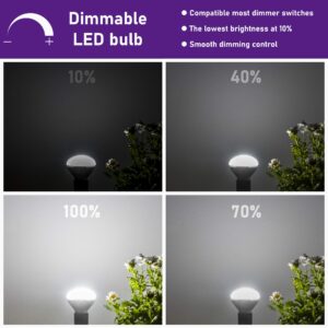 Maelsrlg E17 R14 LED Bulb Dimmable 4W(40W Equivalent) Small Light Bulb, E17 Intermediate Base, 300 Lumens, Curio Cabinet Light Bulb, Daylight White 5000K, Pack of 2