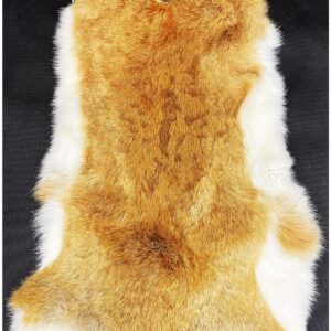 Forssils Natural Rabbit Fur Pelt(10" by 15") Rabbit Hide Sewing Quality Hide Leather -Soft Professionally Tanned (Golden,1Pcs)