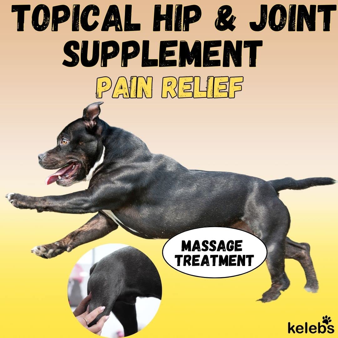 Kelebs Dog Joint Supplement Massage Oil | Pain Relief for Dogs | Dog Hip and Joint Supplement | Dog Arthritis Pain Relief | Active & Senior Dog Supplements | Organic Blend Essential Oils with Arnica