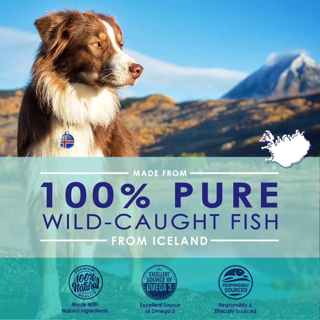 Pure Omega 3 Fish Oil for Dogs, Wild Caught from Iceland, Skin and Coat Supplement for Shedding, Dry Itchy Skin and Allergies, Rich in EPA + DHA with Omega 3, 6 & 9 Fatty Acids, 1000mg, 180 Capsules