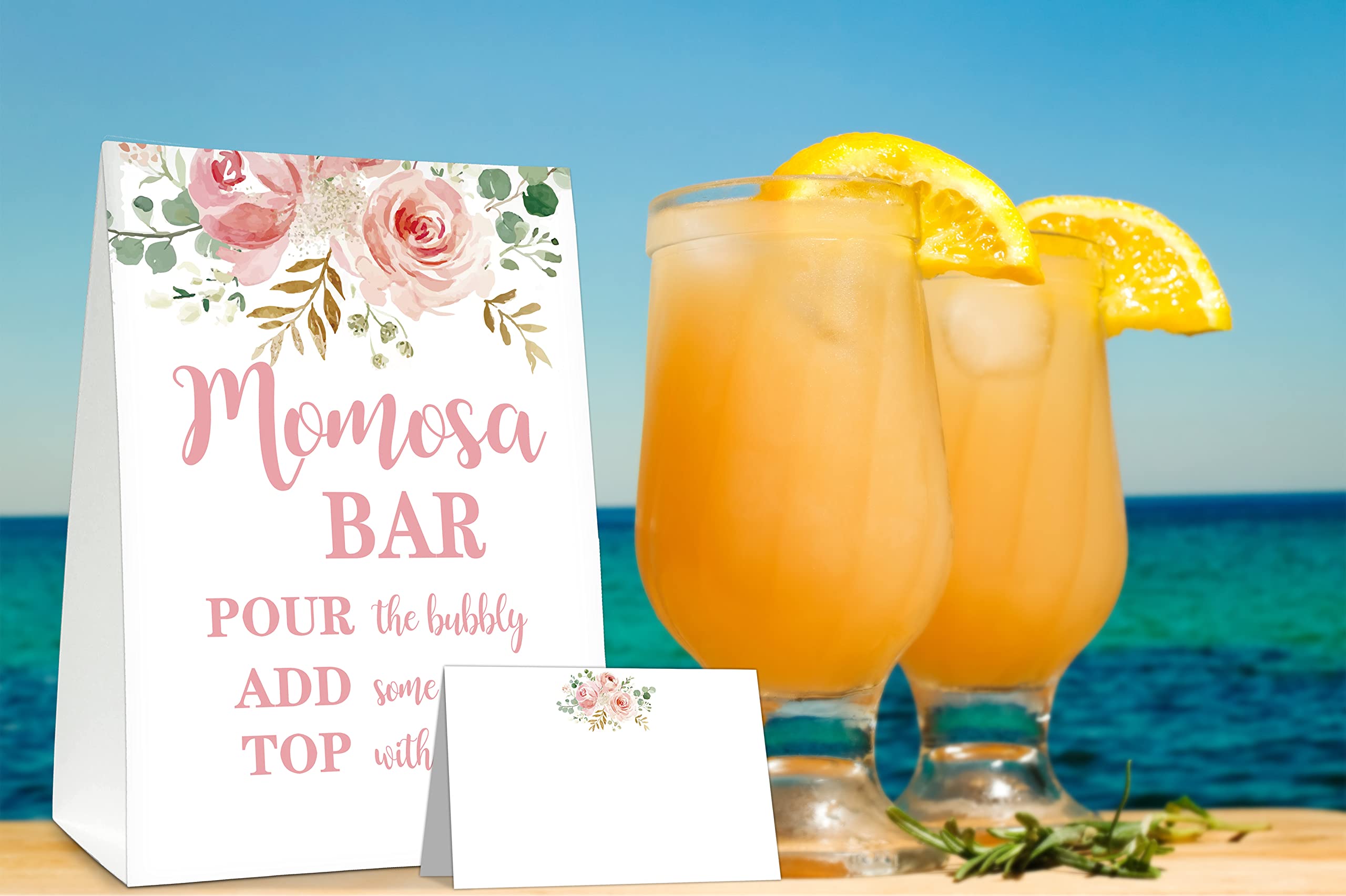 Momosa Bar Supplies Kit - Floral Momosa Bar Sign - Blush Pink Table Place Cards - Bridal Shower, Graduation Party, Bubbly Bar, Mimosa Bar, Birthday Brunch, Engagement Party Decor(01)