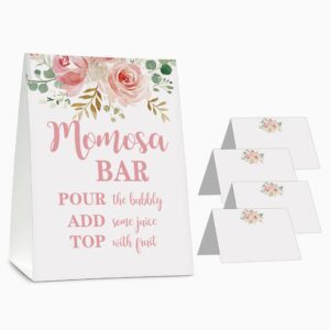 momosa bar supplies kit - floral momosa bar sign - blush pink table place cards - bridal shower, graduation party, bubbly bar, mimosa bar, birthday brunch, engagement party decor(01)