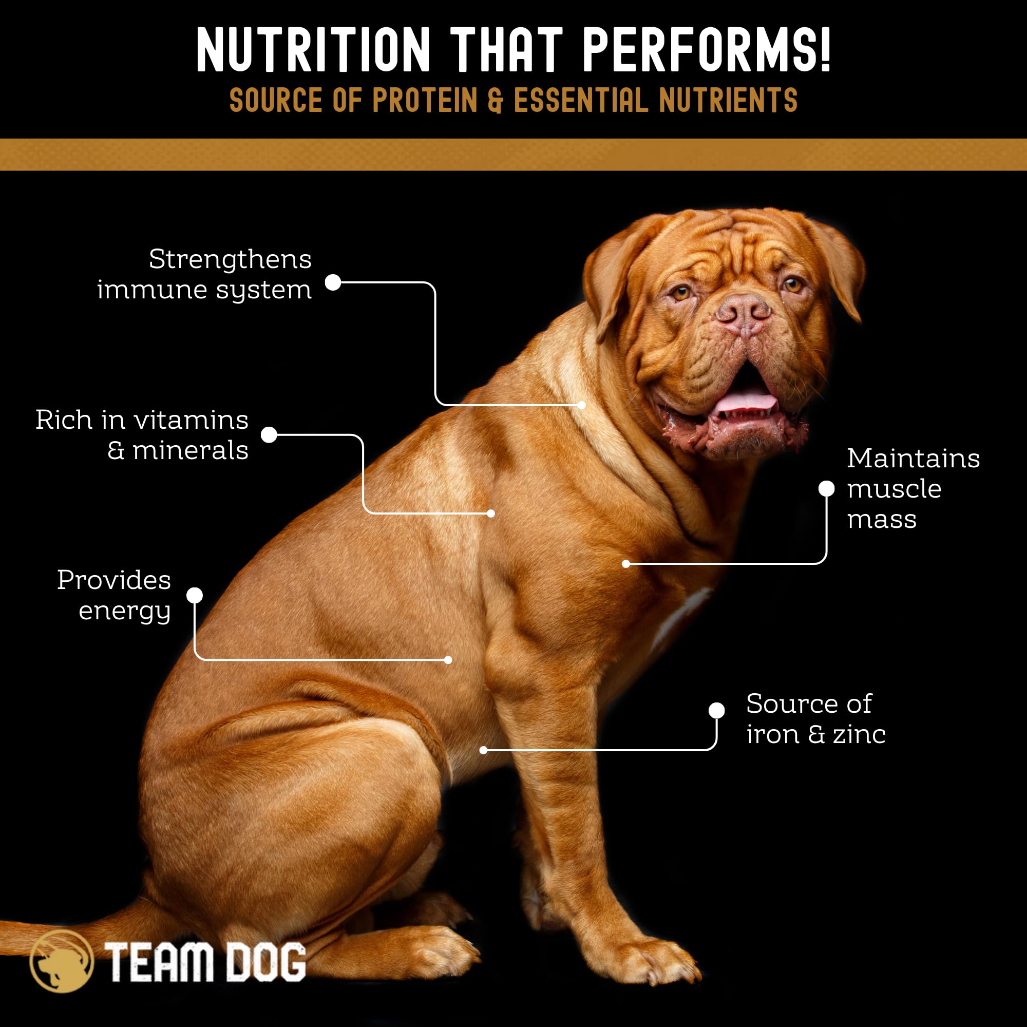 Team Dog Beef Heart, Lung & Liver Dog Treats, 5.4 Oz, Gluten-Free, Grain-Free Training Treats