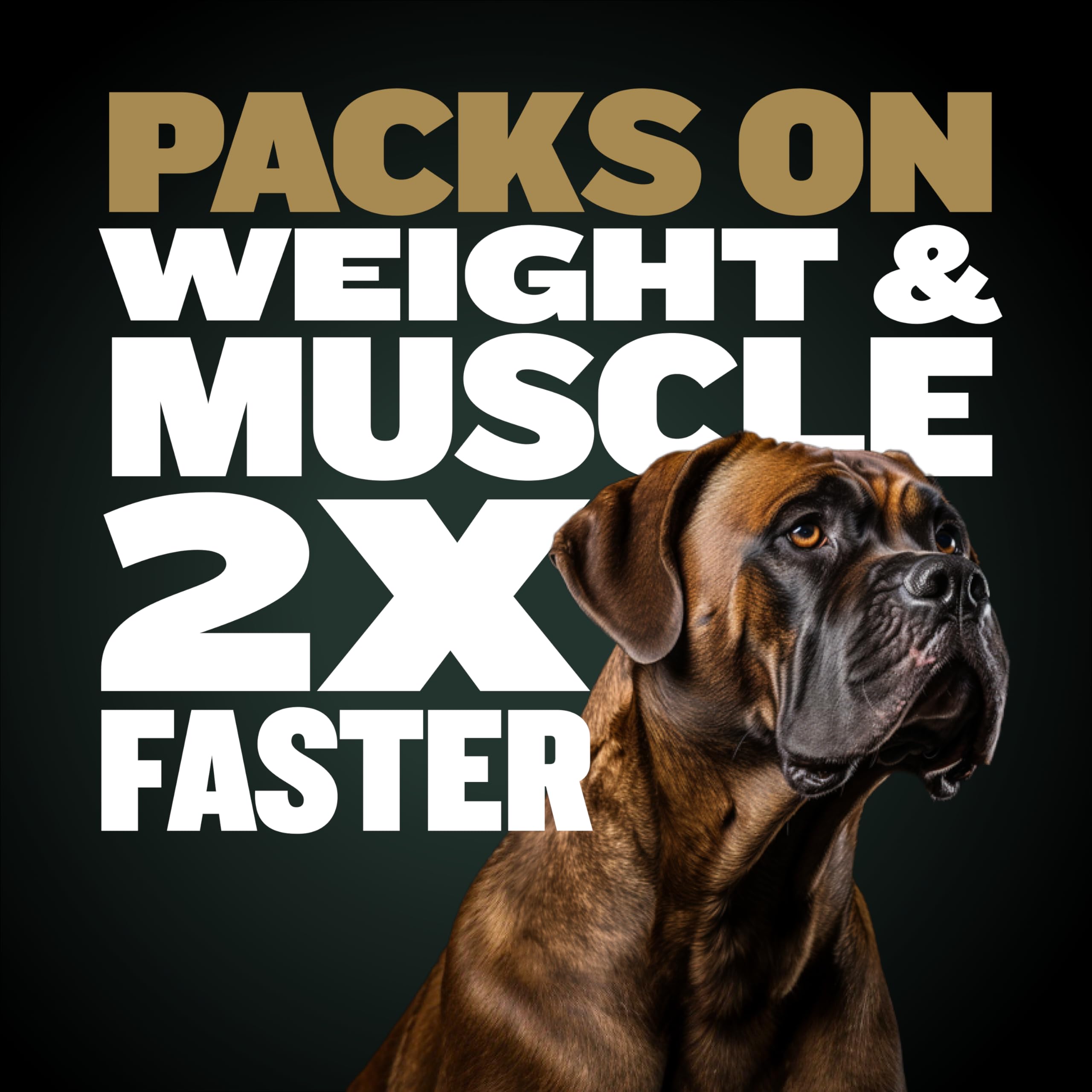 Bully Max Pro 2X High Calorie & High Protein Dry Dog Food for Puppy & Adult Dogs - Healthy Weight Gain & Muscle Building for Small & Large Breeds - Slow-Cooked, 600 Calories/Cup, Chicken Flavor, 4lb.