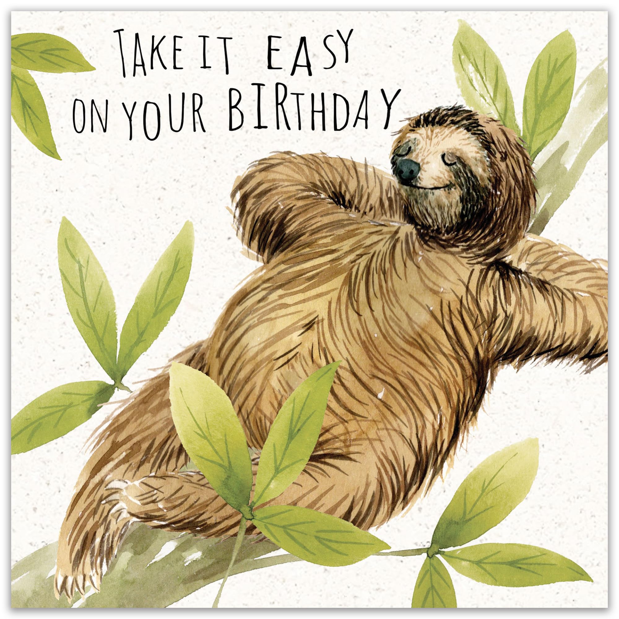 Twizler Funny Birthday Card Sloth – Funny Card Birthday – Happy Birthday Card – Funny Birthday Card Men – Funny Birthday Card Women – Funny Birthday Card Him – Funny Birthday Card Her – Sloth Card