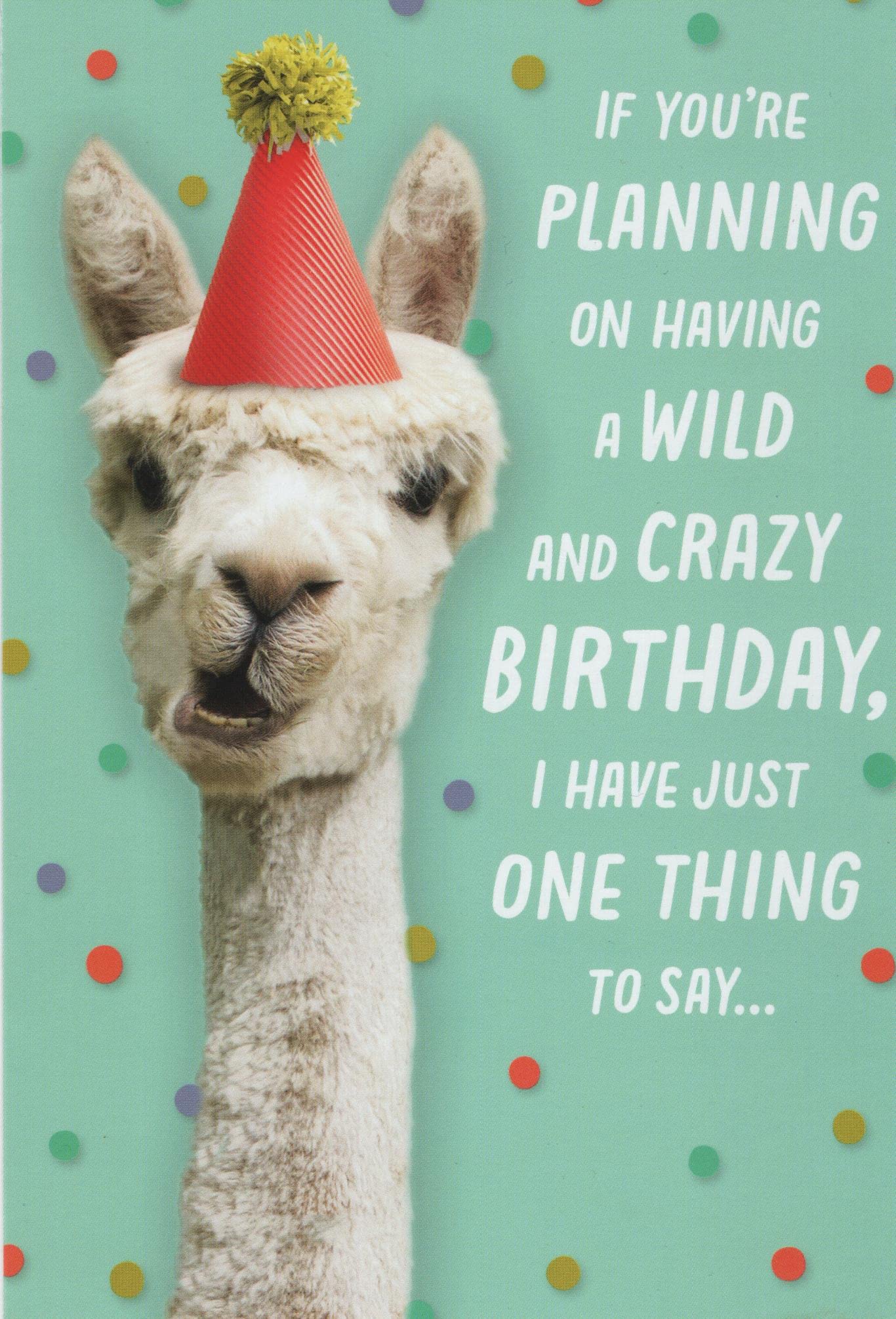 Llama Funny Wild and Crazy Birthday Card Made in USA