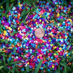 Fiesta Confetti.Value Mexican Colorful paper Confetti. Medium Bag .44lb/200gr.