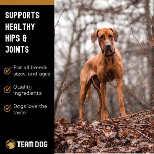 TEAM DOG Hip and Joint Chews for Dogs | Arthritis & Joint Support Supplements for Dogs | MSM, Chondroitin & Glucosamine for Dogs | Small, Medium & Large Breed | Chicken, Duck & Pea Flavor | 120 Count