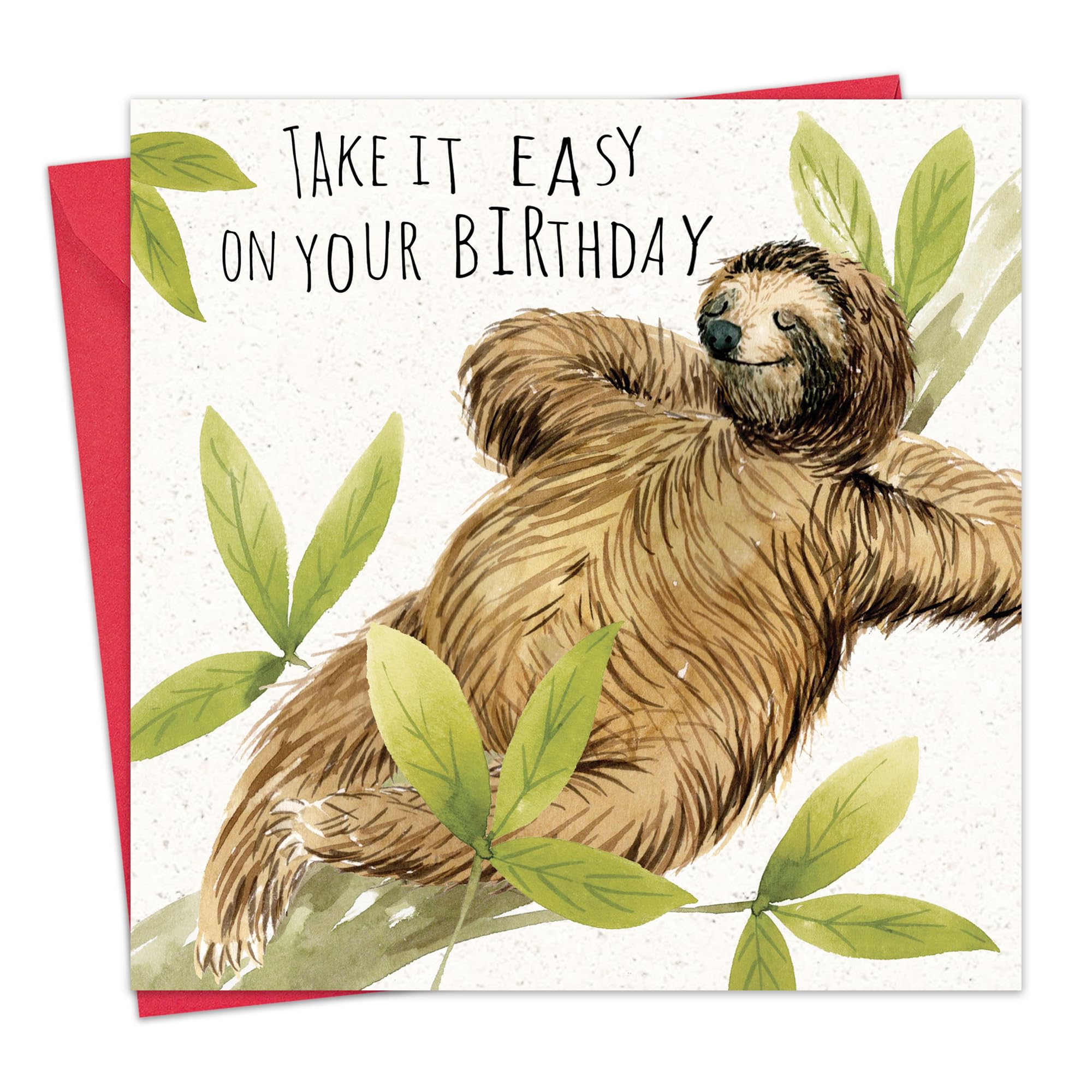 Twizler Funny Birthday Card Sloth – Funny Card Birthday – Happy Birthday Card – Funny Birthday Card Men – Funny Birthday Card Women – Funny Birthday Card Him – Funny Birthday Card Her – Sloth Card