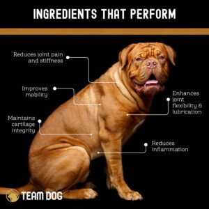 TEAM DOG Hip and Joint Chews for Dogs | Arthritis & Joint Support Supplements for Dogs | MSM, Chondroitin & Glucosamine for Dogs | Small, Medium & Large Breed | Chicken, Duck & Pea Flavor | 120 Count