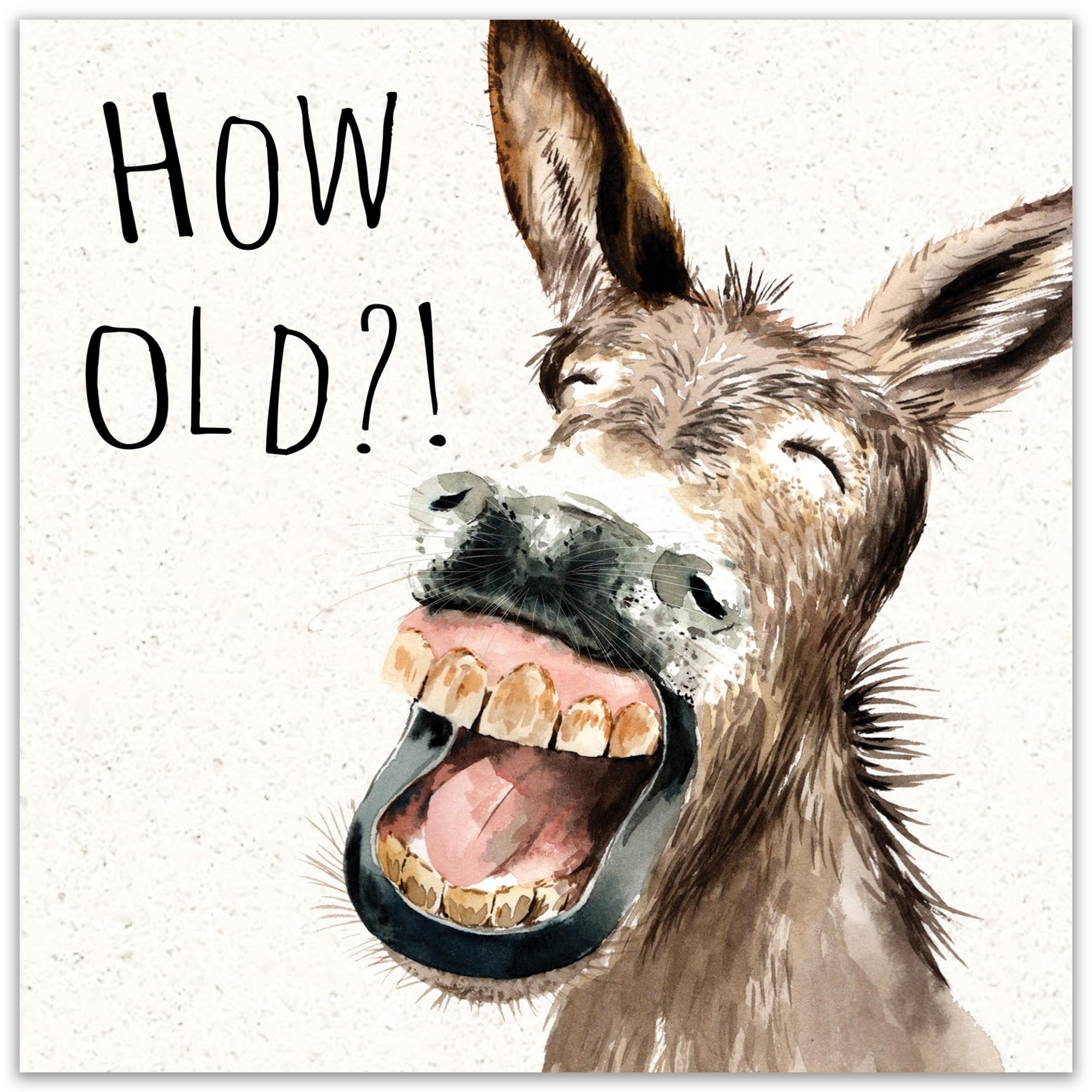 Twizler Funny Birthday Card with Donkey – Funny Card Birthday – Happy Birthday Card – Funny Birthday Card Men – Funny Birthday Card Women – Funny Birthday Card For Him – Funny Birthday Card For Her