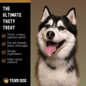 Team Dog Wild Alaskan Salmon Skin Treats for Dogs | Gluten Free, Grain Free Single Ingredient Dog Treat | Freeze Dried Dog Treats Rich in Omega 3 | Promotes Healthy Skin & Coat | 4 Dog Chews per Bag