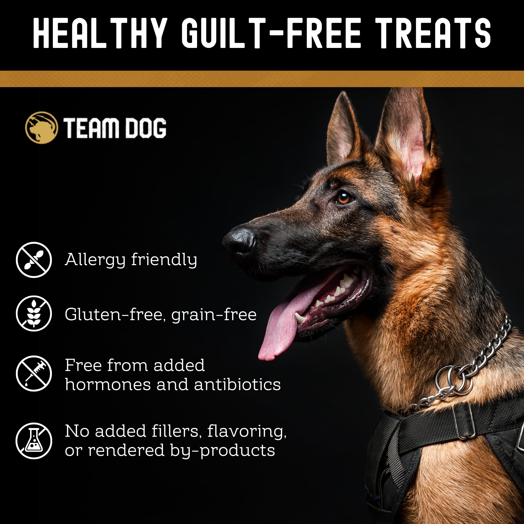 Team Dog Wild Alaskan Salmon Skin Treats for Dogs | Gluten Free, Grain Free Single Ingredient Dog Treat | Freeze Dried Dog Treats Rich in Omega 3 | Promotes Healthy Skin & Coat | 4 Dog Chews per Bag