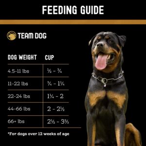 Team Dog Elite Blend Salmon Dog Food with Herring & Lentils | High Protein Dog Food for Sensitive Stomachs & Skin | Chicken Free, Gluten Free, GMO Free, No Corn, Wheat or Soy (15 lb Dry Dog Food)