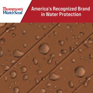 Thompson’s WaterSeal Solid Color Waterproofing Wood Stain and Sealer, Chestnut Brown, 1 Gallon