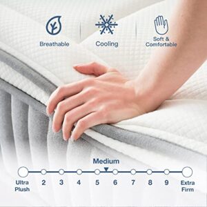 Full Mattress, DIGLANT 12 Inch Euro Top Hybrid Mattress, Gel Memory Foam with Pocket Spring Mattress in a Box and Balance Support, Medium Feel Mattress, CertiPUR-US Certified