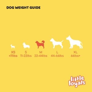 Little Loyals Himalayan Recipe Cheese Dog Chews - 100% Natural, Long-Lasting Treats for Aggressive Chewers, Puppies & Bored Dogs | Odorless, Protein-Rich, Gluten & Lactose-Free | Medium