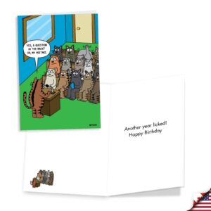 NobleWorks Assorted 3 Pack of Cats Humor Birthday Cartoons Greeting Cards with Envelopes (3 Designs, 1 Each) Cat Laughs VC2805BDG-C1x3