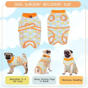 ROZKITCH Dog Recovery Suit After Surgery for Dog Cat, Surgical Onesie Pant for Female Male Dog, Cone e-Collar Alternative Post OP Abdominal Wound Anti Licking Costume After Spay Blue S