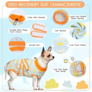 ROZKITCH Dog Recovery Suit After Surgery for Dog Cat, Surgical Onesie Pant for Female Male Dog, Cone e-Collar Alternative Post OP Abdominal Wound Anti Licking Costume After Spay Blue S