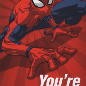 Expressions by Hallmark You're Amazing! Spider-man | Spiderman Happy Birthday Card