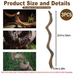 Reptile Decor Natural Forest Branch Terrarium Habitat Driftwood Decoration Lizard Climbing Tree Branch for Bearded Dragon Gecko Snake Frog Chameleon Spider 4PCS