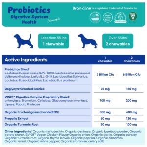 Branvine Probiotics Chewable Digestive System Health for Dogs - Patented 2-Strain Probiotics That Help Oral Health, DGL, Propolis, Digestive Enzymes, Vegan Chicken Flavor (90 Chewables)