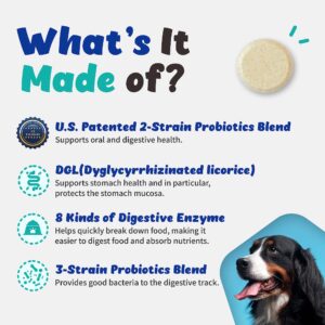 Branvine Probiotics Chewable Digestive System Health for Dogs - Patented 2-Strain Probiotics That Help Oral Health, DGL, Propolis, Digestive Enzymes, Vegan Chicken Flavor (90 Chewables)