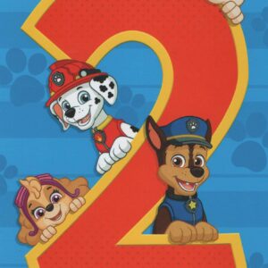 Expressions by Hallmark Happy 2nd Birthday Card from Paw Patrol Crew-Chase, Marshall, Rubble, and Skye!