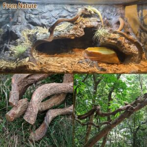 Reptile Decor Natural Forest Branch Terrarium Habitat Driftwood Decoration Lizard Climbing Tree Branch for Bearded Dragon Gecko Snake Frog Chameleon Spider 4PCS