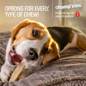 CHOMP 'EMS Premium Chicken Hide Free Dog Chews - Rawhide Free Dog Treats - No Hide Alternative Chew Treat for All Life Stages, Roll, 7"", 2 Count