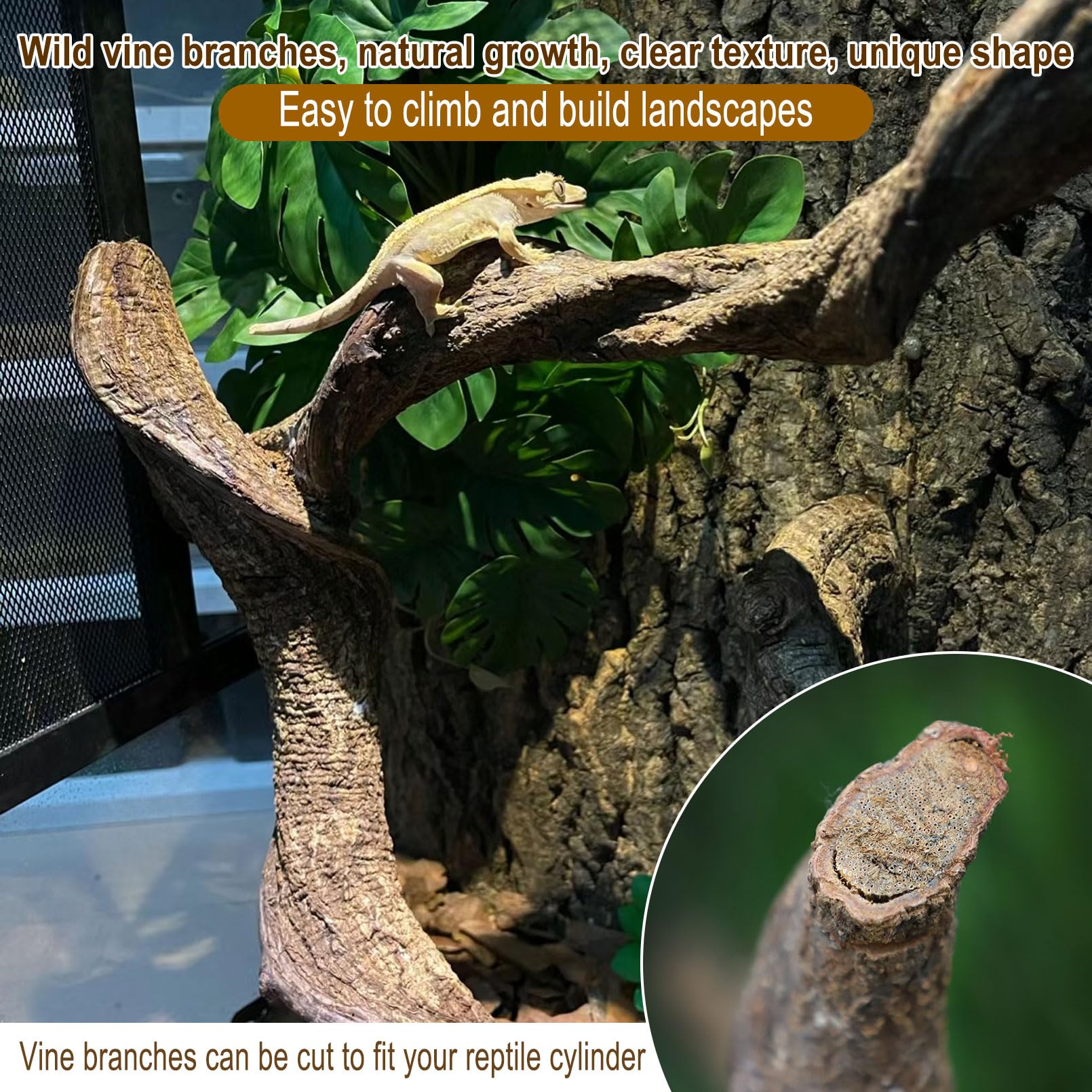 Reptile Decor Natural Forest Branch Terrarium Habitat Driftwood Decoration Lizard Climbing Tree Branch for Bearded Dragon Gecko Snake Frog Chameleon Spider 4PCS